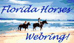 Florida Horses Webring!